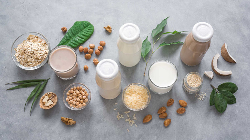 Führender Milch- und Getränkehersteller Frankreichs beauftragt GEA mit Anlage zur Hafer-, Reis- und Sojaverarbeitung